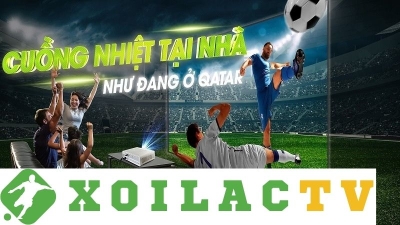 Tỷ lệ cược bóng đá chính xác hàng đầu tại Xoilac TV - xoilac-tv.video